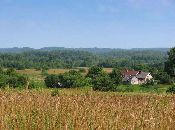 Field of grain in foreground, open agricultural landscape with a few buildings, many fields,and trees and forests in the distance