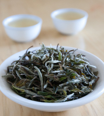 White dish containing loose-leaf white tea, twisted, with downy white hairs, two blurry cups of pale tea in the background, on light wooden surface