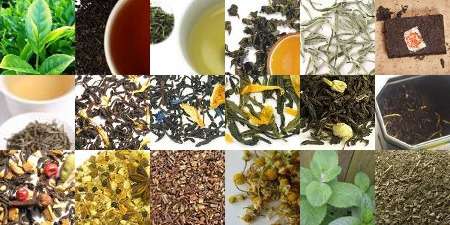 6x3 collage illustrating different types of tea, many pics showing both loose-leaf and brewed cup, some only showing loose-leaf, a few showing fresh leaves