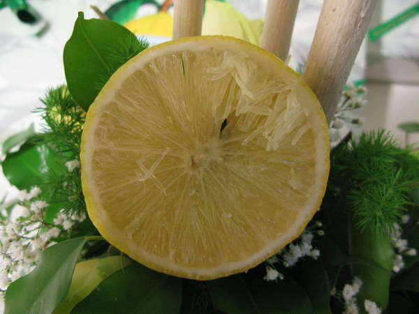 Cross-section of pale-yellow citrus fruit, with dry and flakey flesh