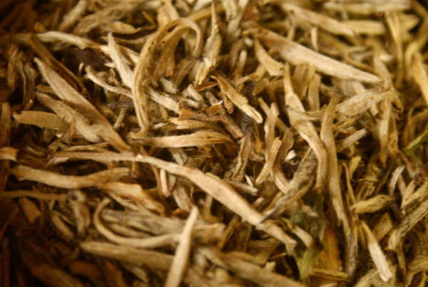 Loose-leaf tea with pale color, all buds, slightly curved