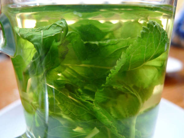Glass with fresh mint leaves in it, bright green with serrated edges