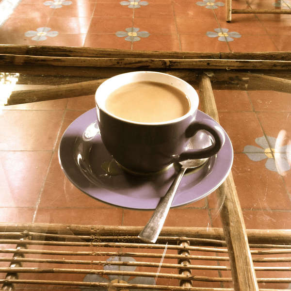 Cup of tea with milk, in purple cup on purple saucer, on a glass table with wooden frame, with brown tile floor underneath
