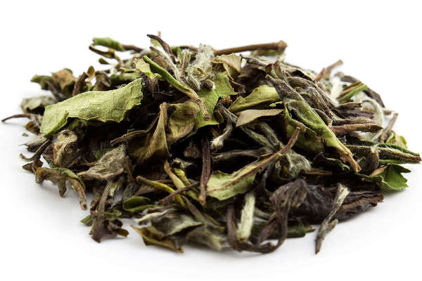 Loose-leaf, large white tea leaves, green and brown and irregularly twisted