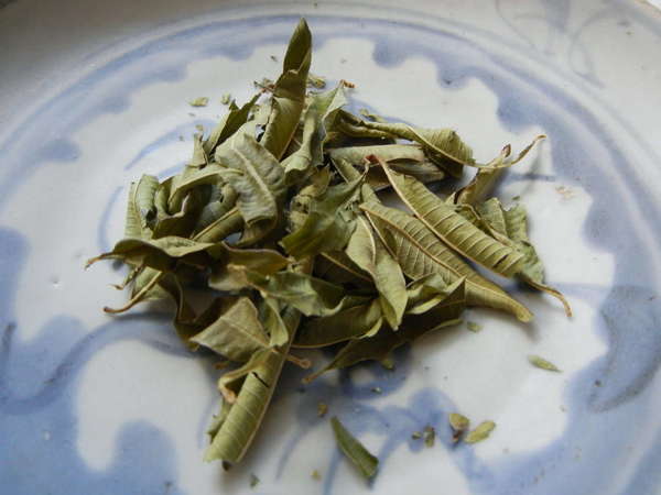 Gray-green leaves on a blue-and-white dish, long, narrow, with distinct side veins, many tightly curled