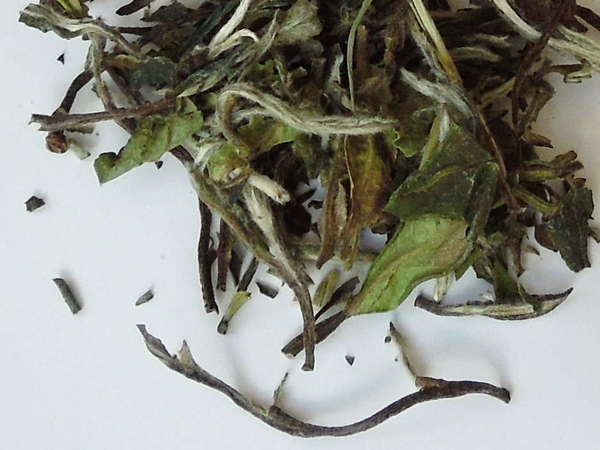 Loose-leaf teaa showing some downy silvery buds, bright green leaves, and darker brown leaves and stems